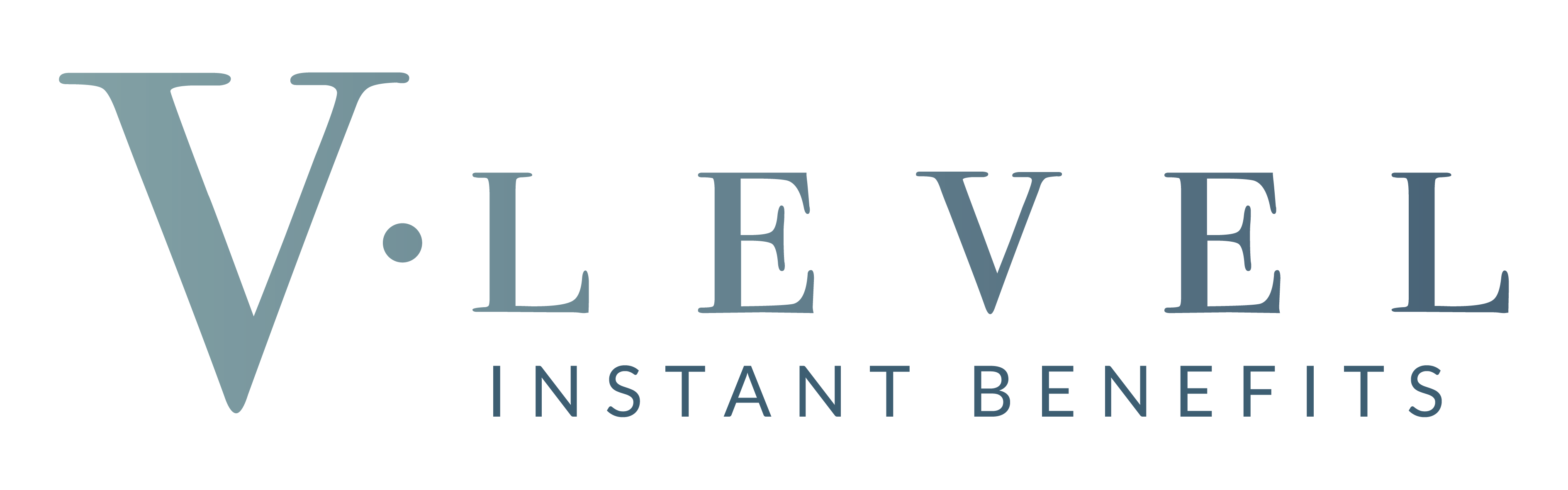 Logo v level horizontal silver