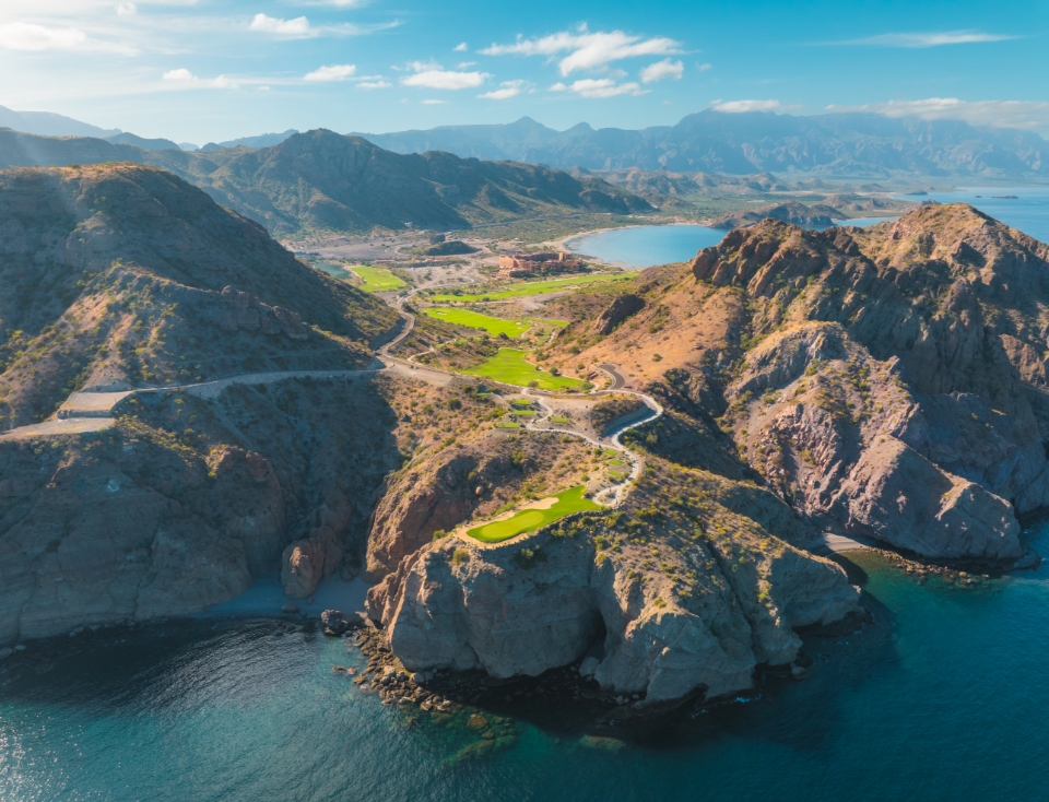 TPC danzante Bay